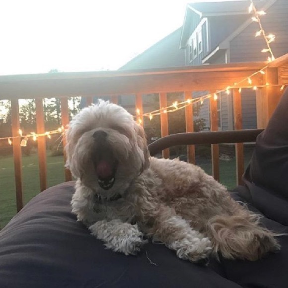 Meet your Posher, Karla - Picture 2 of 2